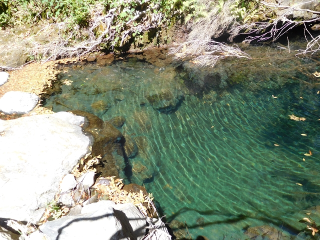 23 July 2015 4 Levadas around Aguas Mansas — To the Madre of the Levada do Pico das Eiroses and back — photo 37