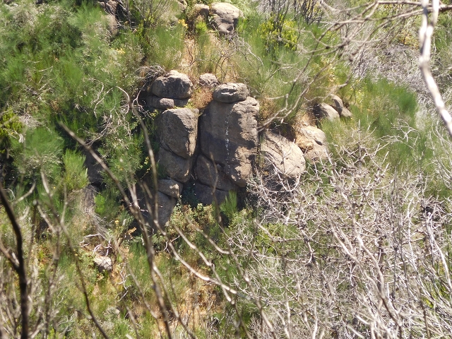 23 July 2015 4 Levadas around Aguas Mansas — To the Madre of the Levada do Pico das Eiroses and back — photo 43