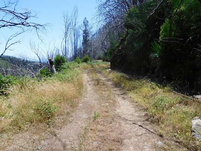 23 July 2015 4 Levadas around Aguas Mansas — To the Madre of the Levada do Pico das Eiroses and back — photo 44