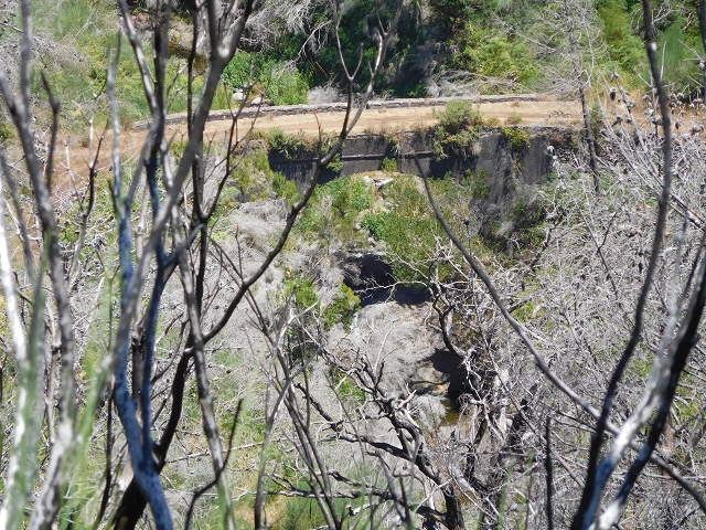 23 July 2015 4 Levadas around Aguas Mansas — To the Madre of the Levada do Pico das Eiroses and back — photo 46