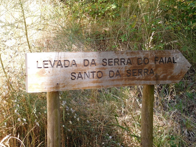 23 July 2015 4 Levadas around Aguas Mansas — On the Levada da Serra do Faial to Quatro Estradas and back to the crossing with the Levada da Morena — photo 3