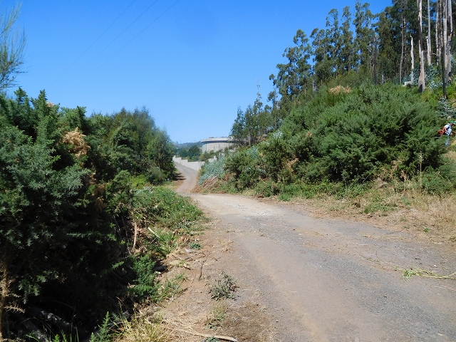 23 July 2015 4 Levadas around Aguas Mansas — From Aguas Mansas to the Lagoa das Aguas Mansas — photo 8
