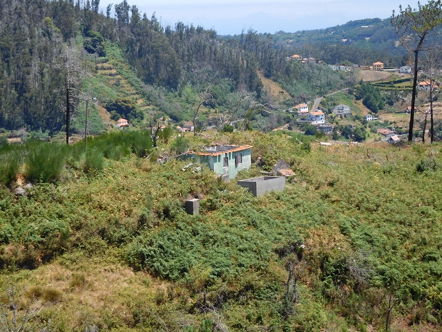 23 July 2015 4 Levadas around Aguas Mansas — On the Levada da Serra do Faial to Quatro Estradas and back to the crossing with the Levada da Morena — photo 7