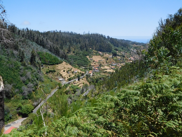 23 July 2015 4 Levadas around Aguas Mansas — On the Levada da Serra do Faial to Quatro Estradas and back to the crossing with the Levada da Morena — photo 12