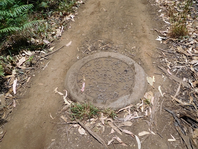 23 July 2015 4 Levadas around Aguas Mansas — On the Levada da Serra do Faial to Quatro Estradas and back to the crossing with the Levada da Morena — photo 14