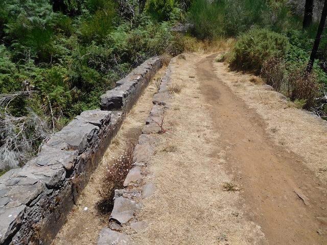 23 July 2015 4 Levadas around Aguas Mansas — On the Levada da Serra do Faial to Quatro Estradas and back to the crossing with the Levada da Morena — photo 19