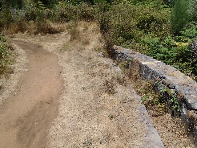 23 July 2015 4 Levadas around Aguas Mansas — On the Levada da Serra do Faial to Quatro Estradas and back to the crossing with the Levada da Morena — photo 20