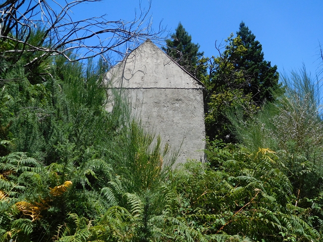 23 July 2015 4 Levadas around Aguas Mansas — On the Levada da Serra do Faial to Quatro Estradas and back to the crossing with the Levada da Morena — photo 26