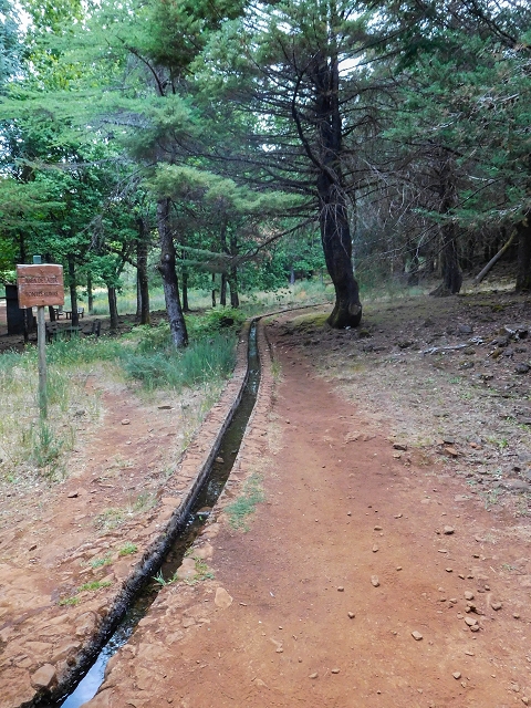 Levadinha da Serra — Na zona do Pico Ruivo do Paul — foto 7