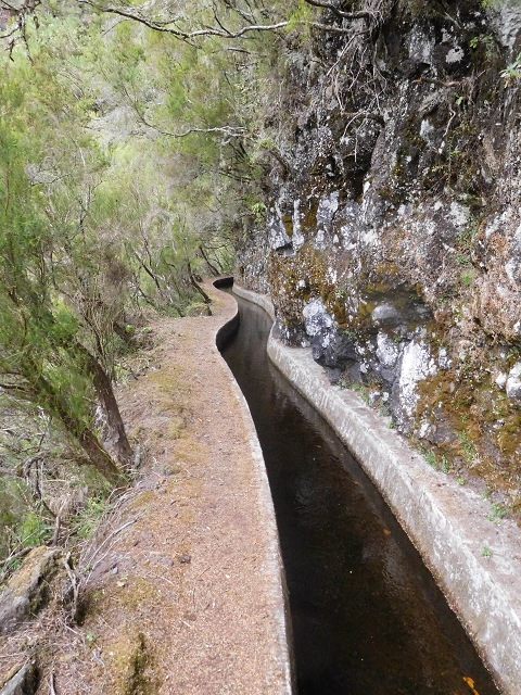 13 August 2017 The great tunnel-rat diploma: From the Madre of the Levada do Norte to the gravel track from Ginjas to Estanquinhos — In the valley of the Ribeira do Inferno — photo 7