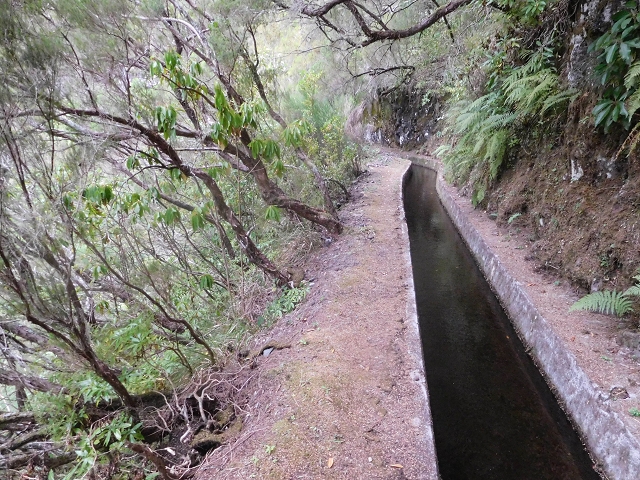 13 August 2017 The great tunnel-rat diploma: From the Madre of the Levada do Norte to the gravel track from Ginjas to Estanquinhos — In the valley of the Ribeira do Inferno — photo 8