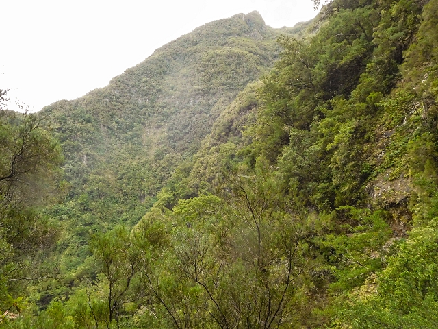 13 August 2017 The great tunnel-rat diploma: From the Madre of the Levada do Norte to the gravel track from Ginjas to Estanquinhos — In the valley of the Ribeira do Inferno — photo 9