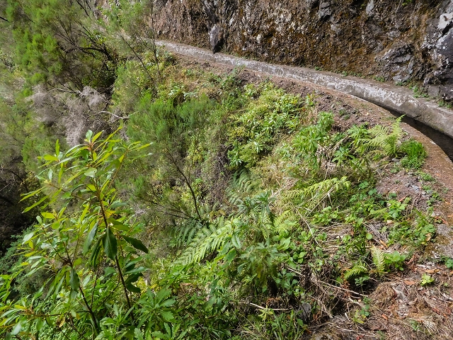 13 August 2017 The great tunnel-rat diploma: From the Madre of the Levada do Norte to the gravel track from Ginjas to Estanquinhos — In the valley of the Ribeira do Inferno — photo 10