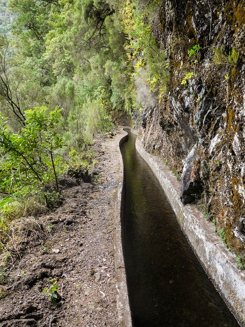 13 August 2017 The great tunnel-rat diploma: From the Madre of the Levada do Norte to the gravel track from Ginjas to Estanquinhos — In the valley of the Ribeira do Inferno — photo 11