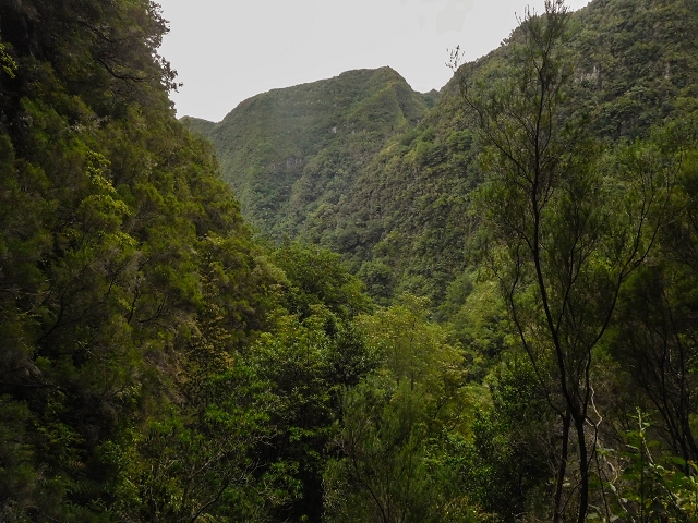 13 August 2017 The great tunnel-rat diploma: From the Madre of the Levada do Norte to the gravel track from Ginjas to Estanquinhos — In the valley of the Ribeira do Inferno — photo 12