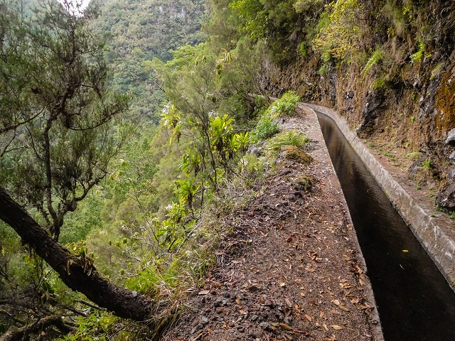 13 August 2017 The great tunnel-rat diploma: From the Madre of the Levada do Norte to the gravel track from Ginjas to Estanquinhos — In the valley of the Ribeira do Inferno — photo 13