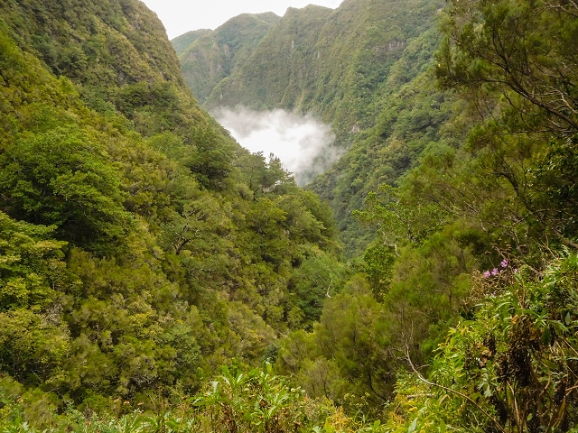 13 August 2017 The great tunnel-rat diploma: From the Madre of the Levada do Norte to the gravel track from Ginjas to Estanquinhos — In the valley of the Ribeira do Inferno — photo 14