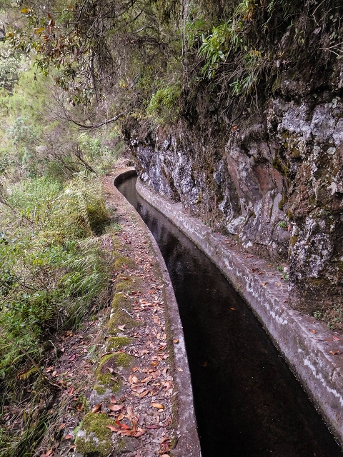 13 August 2017 The great tunnel-rat diploma: From the Madre of the Levada do Norte to the gravel track from Ginjas to Estanquinhos — In the valley of the Ribeira do Inferno — photo 15
