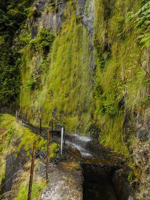 13 August 2017 The great tunnel-rat diploma: From the Madre of the Levada do Norte to the gravel track from Ginjas to Estanquinhos — Crossing of the western arm of the western main branch of the Ribeira do Inferno — photo 1