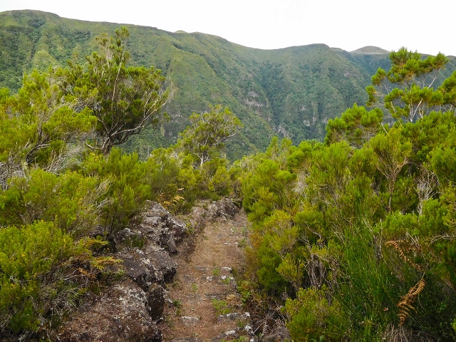 13 August 2017 The great tunnel-rat diploma: From the Madre of the Levada do Norte to the gravel track from Ginjas to Estanquinhos — On the Lombo das Barbinhas to the Norte — photo 3