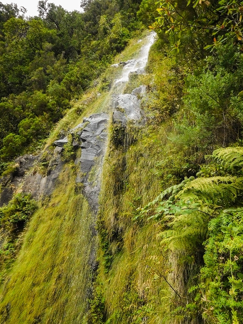 13 August 2017 The great tunnel-rat diploma: From the Madre of the Levada do Norte to the gravel track from Ginjas to Estanquinhos — Crossing of the western arm of the western main branch of the Ribeira do Inferno — photo 2