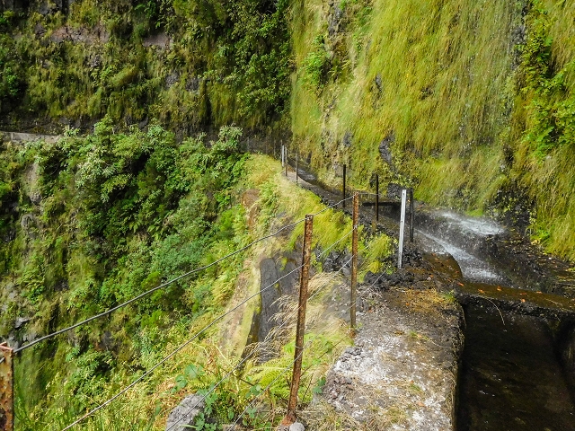 13 August 2017 The great tunnel-rat diploma: From the Madre of the Levada do Norte to the gravel track from Ginjas to Estanquinhos — Crossing of the western arm of the western main branch of the Ribeira do Inferno — photo 3