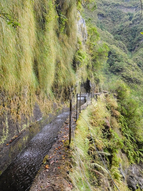 13 August 2017 The great tunnel-rat diploma: From the Madre of the Levada do Norte to the gravel track from Ginjas to Estanquinhos — Crossing of the western arm of the western main branch of the Ribeira do Inferno — photo 5