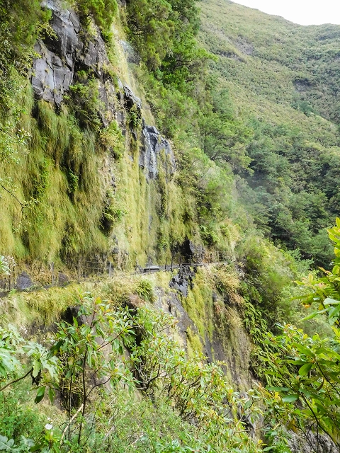 13 August 2017 The great tunnel-rat diploma: From the Madre of the Levada do Norte to the gravel track from Ginjas to Estanquinhos — Crossing of the western arm of the western main branch of the Ribeira do Inferno — photo 6