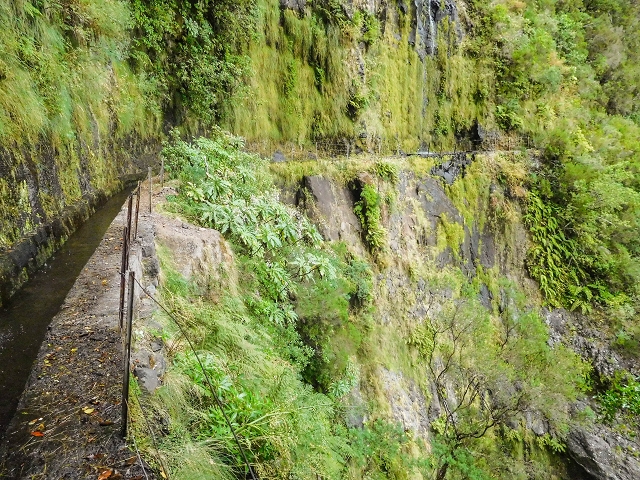 13 August 2017 The great tunnel-rat diploma: From the Madre of the Levada do Norte to the gravel track from Ginjas to Estanquinhos — Crossing of the western arm of the western main branch of the Ribeira do Inferno — photo 8