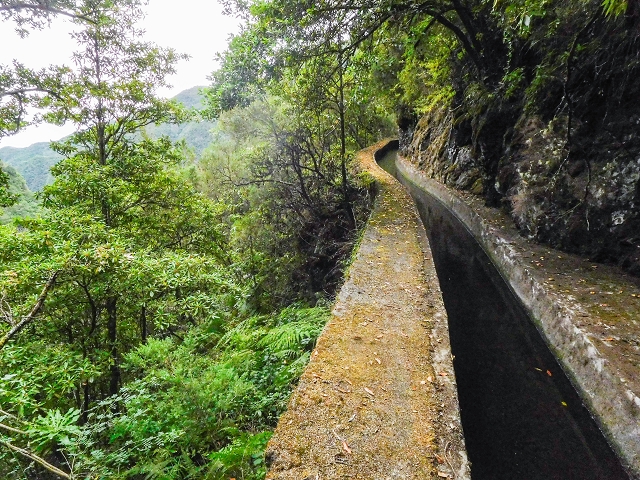 13 August 2017 The great tunnel-rat diploma: From the Madre of the Levada do Norte to the gravel track from Ginjas to Estanquinhos — Crossing of the eastern arm of the western main branch of the Ribeira do Inferno — photo 1