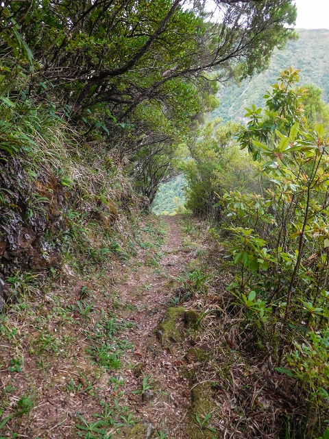 13 August 2017 The great tunnel-rat diploma: From the Madre of the Levada do Norte to the gravel track from Ginjas to Estanquinhos — On the Lombo das Barbinhas to the Norte — photo 4