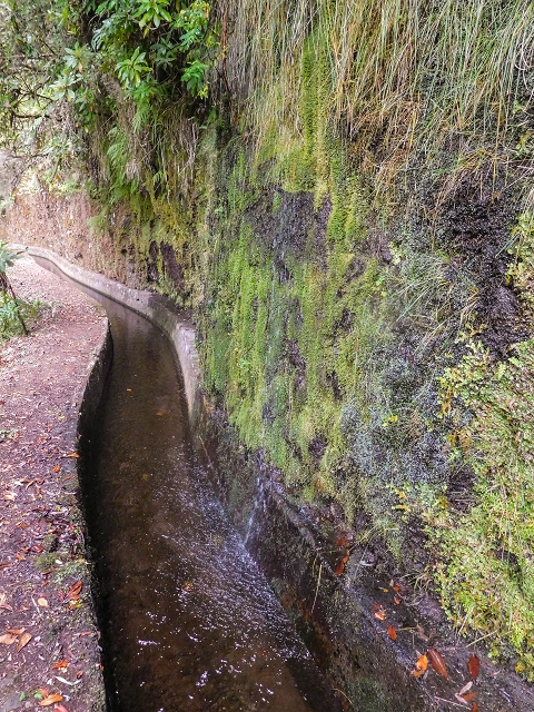 13 August 2017 The great tunnel-rat diploma: From the Madre of the Levada do Norte to the gravel track from Ginjas to Estanquinhos — Crossing of the eastern arm of the western main branch of the Ribeira do Inferno — photo 5
