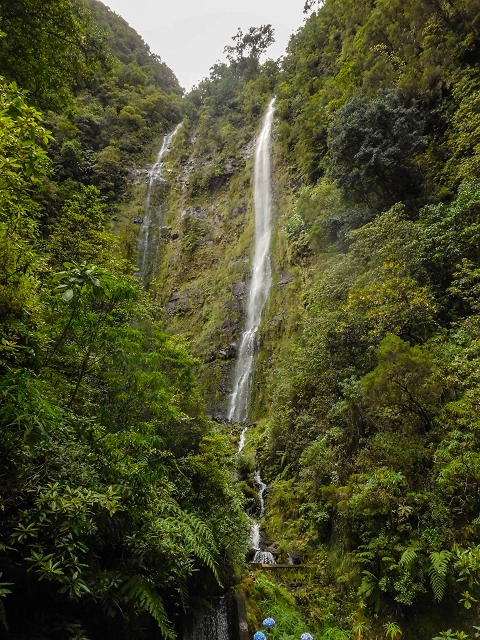 13 August 2017 The great tunnel-rat diploma: From the Madre of the Levada do Norte to the gravel track from Ginjas to Estanquinhos — Crossing of the eastern arm of the western main branch of the Ribeira do Inferno — photo 8