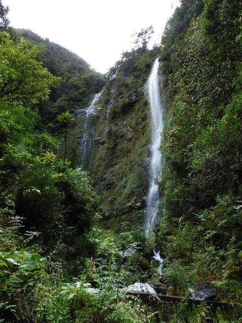 13 August 2017 The great tunnel-rat diploma: From the Madre of the Levada do Norte to the gravel track from Ginjas to Estanquinhos — Crossing of the eastern arm of the western main branch of the Ribeira do Inferno — photo 9
