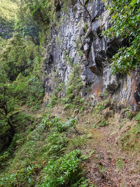 13 August 2017 The great tunnel-rat diploma: From the Madre of the Levada do Norte to the gravel track from Ginjas to Estanquinhos — On the Lombo das Barbinhas to the Norte — photo 5