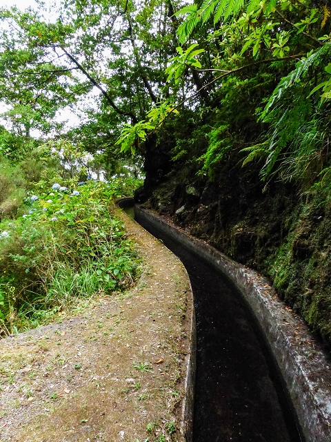 13 August 2017 The great tunnel-rat diploma: From the Madre of the Levada do Norte to the gravel track from Ginjas to Estanquinhos — On as far as the next tunnel — photo 1