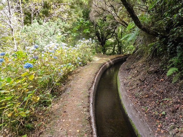 13 August 2017 The great tunnel-rat diploma: From the Madre of the Levada do Norte to the gravel track from Ginjas to Estanquinhos — On as far as the next tunnel — photo 2