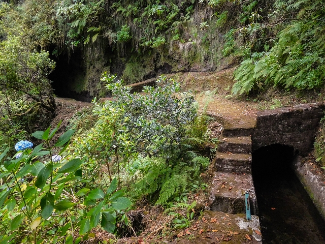 13 August 2017 The great tunnel-rat diploma: From the Madre of the Levada do Norte to the gravel track from Ginjas to Estanquinhos — On as far as the next tunnel — photo 3