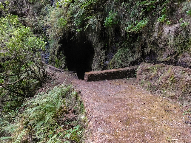 13 August 2017 The great tunnel-rat diploma: From the Madre of the Levada do Norte to the gravel track from Ginjas to Estanquinhos — On as far as the next tunnel — photo 4