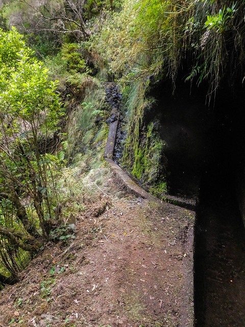 13 August 2017 The great tunnel-rat diploma: From the Madre of the Levada do Norte to the gravel track from Ginjas to Estanquinhos — On as far as the next tunnel — photo 5