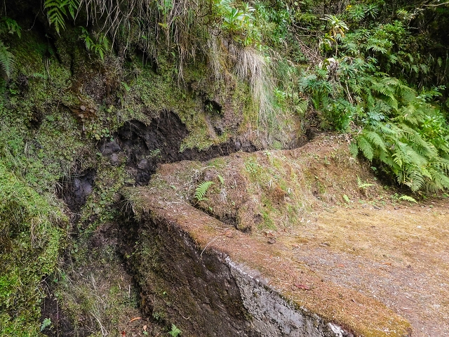 13 August 2017 The great tunnel-rat diploma: From the Madre of the Levada do Norte to the gravel track from Ginjas to Estanquinhos — On as far as the next tunnel — photo 6