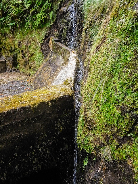 13 August 2017 The great tunnel-rat diploma: From the Madre of the Levada do Norte to the gravel track from Ginjas to Estanquinhos — Crossing of the eastern main branch of the Ribeira do Inferno — photo 2