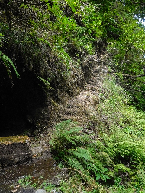 13 August 2017 The great tunnel-rat diploma: From the Madre of the Levada do Norte to the gravel track from Ginjas to Estanquinhos — Crossing of the eastern main branch of the Ribeira do Inferno — photo 3