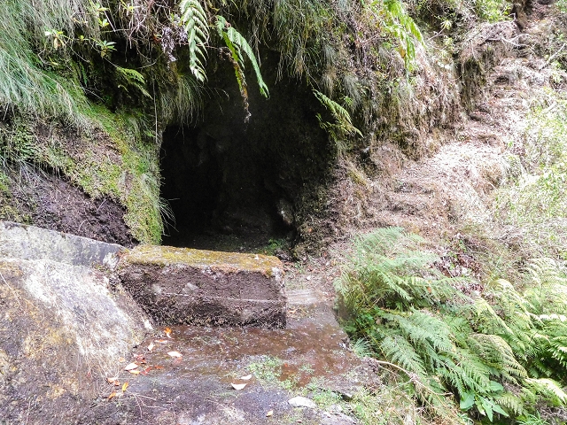 25 de agosto de 2017 Na Vereda Pau Branco de Ginjas a Estanquinhos — A gruta e o desvio até à Levada do Norte — foto 7