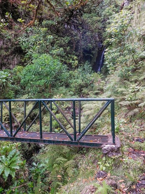 13 August 2017 The great tunnel-rat diploma: From the Madre of the Levada do Norte to the gravel track from Ginjas to Estanquinhos — On the Lombo das Barbinhas to the Norte — photo 6