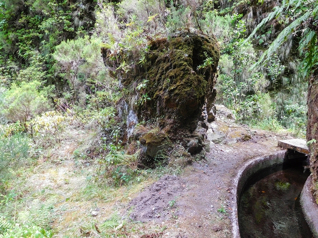 13 August 2017 The great tunnel-rat diploma: From the Madre of the Levada do Norte to the gravel track from Ginjas to Estanquinhos — Crossing of the eastern main branch of the Ribeira do Inferno — photo 4