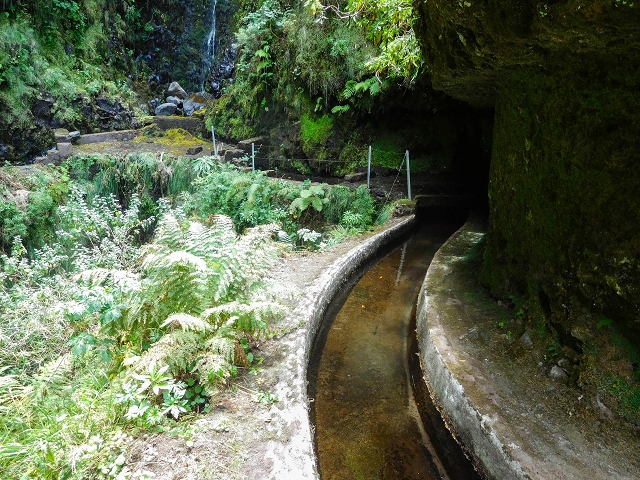 13 August 2017 The great tunnel-rat diploma: From the Madre of the Levada do Norte to the gravel track from Ginjas to Estanquinhos — Crossing of the eastern main branch of the Ribeira do Inferno — photo 5