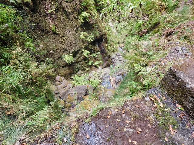 13 August 2017 The great tunnel-rat diploma: From the Madre of the Levada do Norte to the gravel track from Ginjas to Estanquinhos — Crossing of the eastern main branch of the Ribeira do Inferno — photo 8