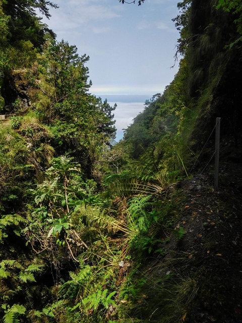 13 August 2017 The great tunnel-rat diploma: From the Madre of the Levada do Norte to the gravel track from Ginjas to Estanquinhos — Crossing of the eastern main branch of the Ribeira do Inferno — photo 9