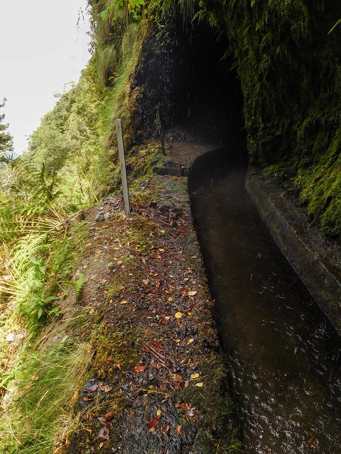 13 August 2017 The great tunnel-rat diploma: From the Madre of the Levada do Norte to the gravel track from Ginjas to Estanquinhos — Crossing of the eastern main branch of the Ribeira do Inferno — photo 10